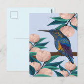 Carte Postale Colibri (Devant / Derrière)