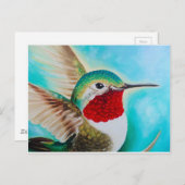 Carte Postale Colibri (Devant / Derrière)