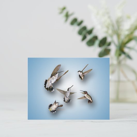 Carte Postale Colibri (Debout devant)