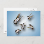 Carte Postale Colibri (Devant / Derrière)