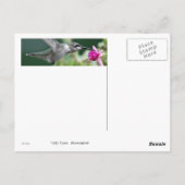 Carte Postale Colibri (Dos)