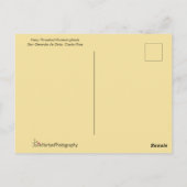 Carte Postale Colibri (Dos)