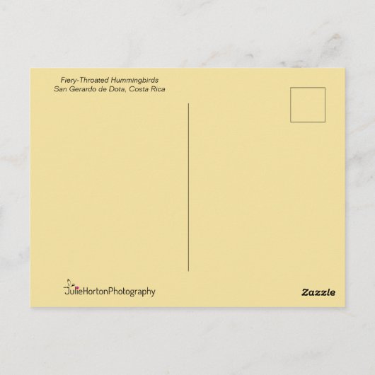 Carte Postale Colibri (Dos)