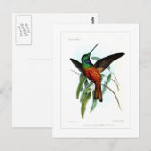 Carte Postale Colibri (Devant / Derrière)