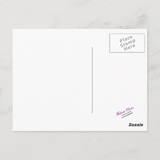 Carte postale Colibri (Dos)