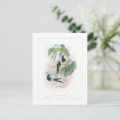 Carte Postale Colibri (Debout devant)