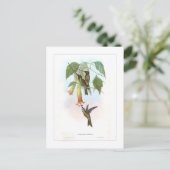 Carte Postale Colibri (Debout devant)