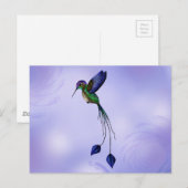 Carte Postale Colibri (Devant / Derrière)