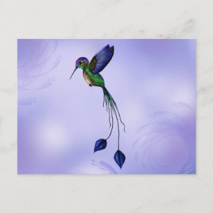 Carte Postale Colibri