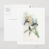 Carte Postale Colibri (Devant / Derrière)