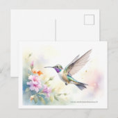 Carte Postale Colibri (Devant / Derrière)