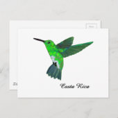 Carte Postale Colibri (Devant / Derrière)