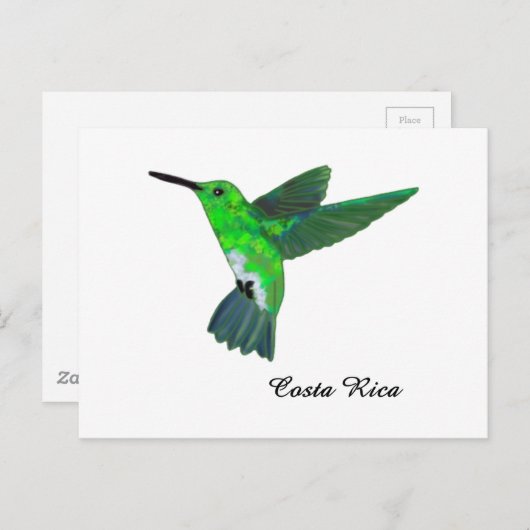 Carte Postale Colibri (Devant / Derrière)