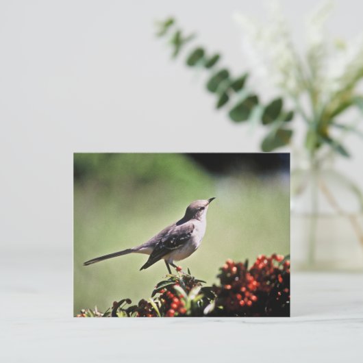 Carte Postale Colibri (Debout devant)