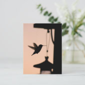 Carte postale Colibri (Debout devant)