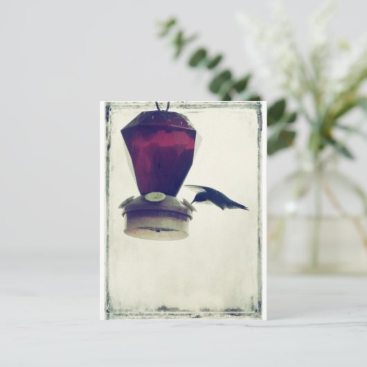 Carte Postale Colibri 2 (Debout devant)