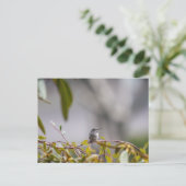 Carte Postale Colibri 3346 (Debout devant)