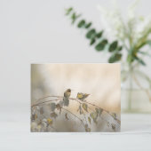 Carte Postale Colibri 5265 (Debout devant)