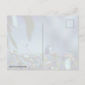 Carte Postale Colibri 5738 (Dos)