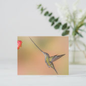 Carte Postale Colibri à bec épée en vol (Debout devant)