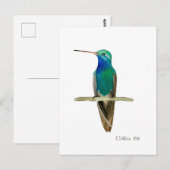 Carte Postale Colibri à bec large (Devant / Derrière)