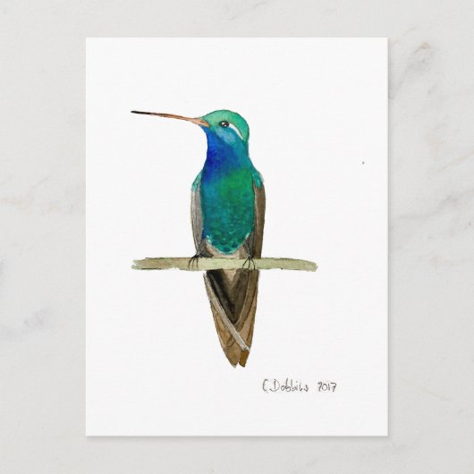 Carte Postale Colibri à bec large (Devant)