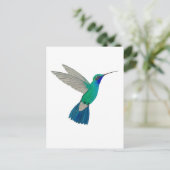 Carte Postale Colibri à bec large (Debout devant)