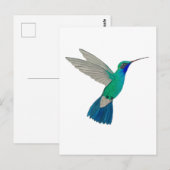 Carte Postale Colibri à bec large (Devant / Derrière)