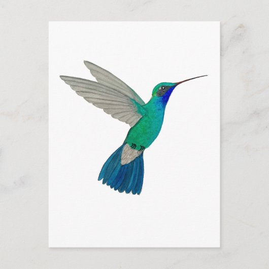 Carte Postale Colibri à bec large (Devant)