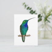 Carte Postale Colibri à dos vert (Debout devant)