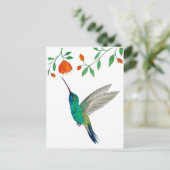 Carte Postale Colibri à gorge bleue (Debout devant)