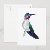 Carte Postale Colibri à gorge étoilée à bec long (Devant / Derrière)