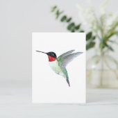 Carte Postale Colibri à gorge rubis (Debout devant)