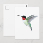 Carte Postale Colibri à gorge rubis (Devant / Derrière)