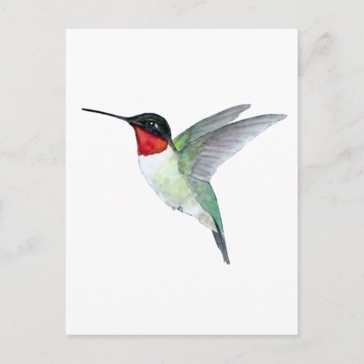 Carte Postale Colibri à gorge rubis (Devant)