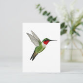 Carte Postale Colibri à gorge rubis (Debout devant)