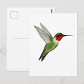 Carte Postale Colibri à gorge rubis (Devant / Derrière)