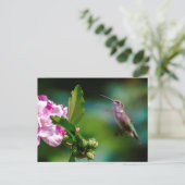 Carte Postale Colibri à gorge rubis - Photo originale (Debout devant)