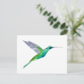 Carte Postale Colibri à gorge violette (Debout devant)