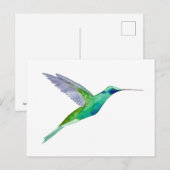 Carte Postale Colibri à gorge violette (Devant / Derrière)