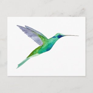 Carte Postale Colibri à gorge violette
