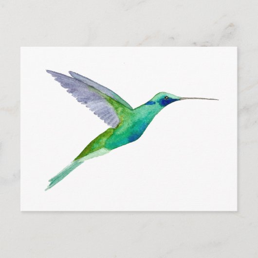 Carte Postale Colibri à gorge violette (Devant)