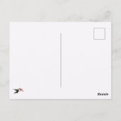 Carte Postale Colibri À La Fleur Cardinale (Dos)