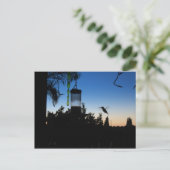 Carte Postale Colibri au coucher du soleil (Debout devant)
