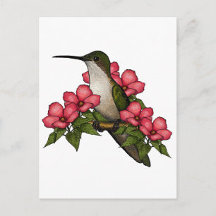 Carte Postale Colibri Aux Fleurs Roses : Art de la nature