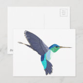Carte Postale Colibri bleu et vert (Devant / Derrière)