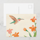 Carte Postale Colibri Calliope en vol (Devant / Derrière)