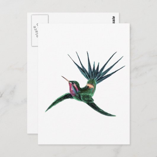 Carte Postale Colibri coloré (Devant / Derrière)