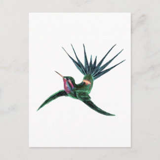 Carte Postale Colibri coloré