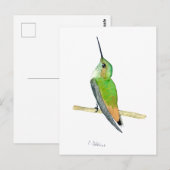 Carte Postale Colibri d'Allen (Devant / Derrière)